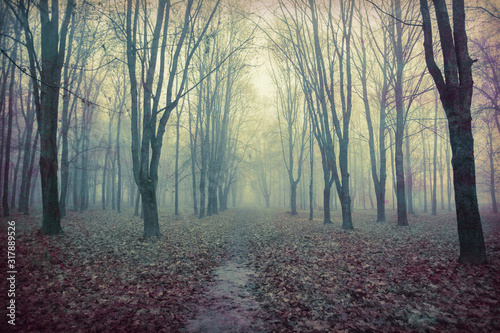 A spooky landscape of an abandoned park with bare trees.