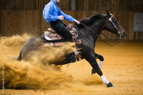 Equestrian Reining
