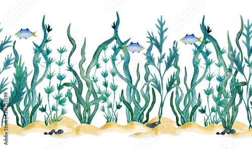 watercolor hand drawn seamless horizontal border green blue water seaweed algae. sand and stones. super food labels design packaging paper kelp laminaria spirulina healthy organic eating