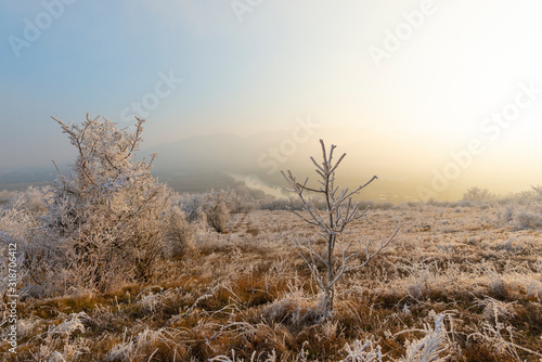 Winter landscape with rime on the tree