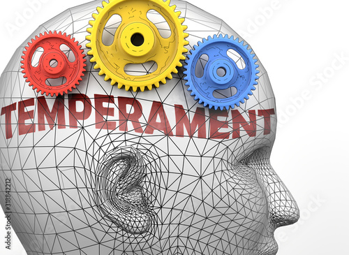 Temperament and human mind - pictured as word Temperament inside a head to symbolize relation between Temperament and the human psyche, 3d illustration