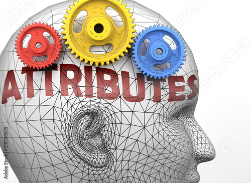 Attributes and human mind - pictured as word Attributes inside a head to symbolize relation between Attributes and the human psyche, 3d illustration