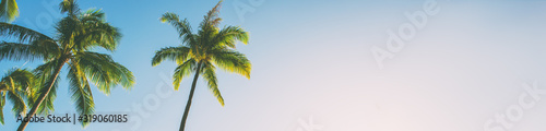 Summer beach background palm trees against blue sky banner panorama, tropical Caribbean travel destination.