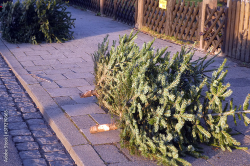 Weihnachtsbaum nach dem FestDeutschland