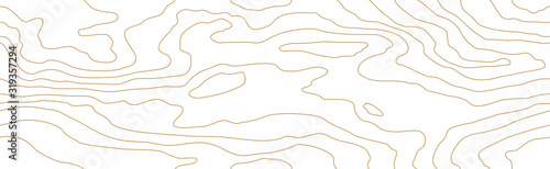 Seamless wooden pattern. Wood grain texture. Dense golden lines. Abstract white background. Vector illustration