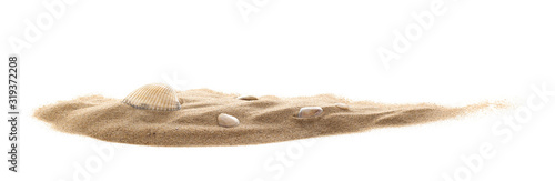 Isolated seashell on sand, white background