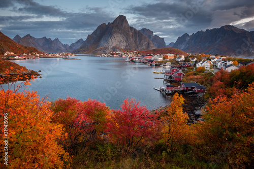 Autumn in Lofoten wiht pretty colours and great light. Norway landscapes with mountains.