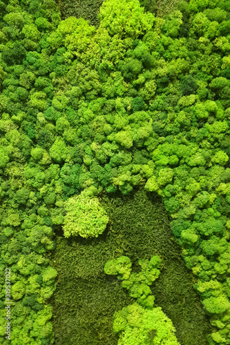 green preserved moss wall for office decor