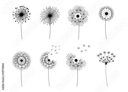 Dandelion set. Doodle hand drawn dandelions monstera isolated vector silhouettes, summer botanical fluff flower