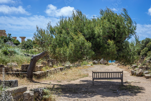 Bench in acropolis of Selinunte also called Selinus - ancient city on Sicily Island in Italy