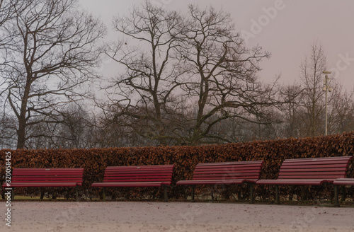 Czerwone drewniane ławki w parku nocą