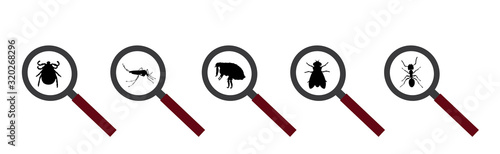 Vector silhouette of flea and fly and tick and mosquito under magnifying glass on a white background. Symbol of parasites like set together.