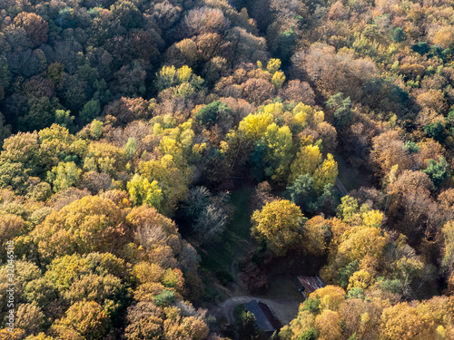vue aérienne de la forêt à l'automne à Montalet-le-Bois dans les Yvelines en France