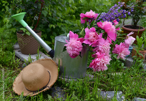 Straw hat, watering can and peony flowers by flowerbed in the garden.