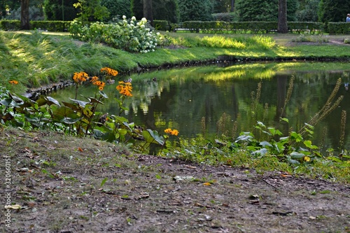 Na brzegu stawu, park w Białymstoku