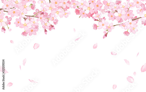 桜と散る花びらの水彩イラスト。フレームデザイン。（ベクター。レイアウト変更可能）
