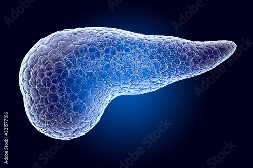 Pancreas, x-ray hologram. 3D rendering