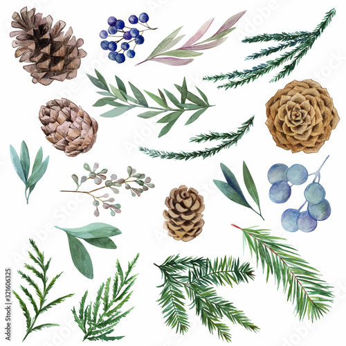 Set of winter watercolor botanical elements, fir and cones