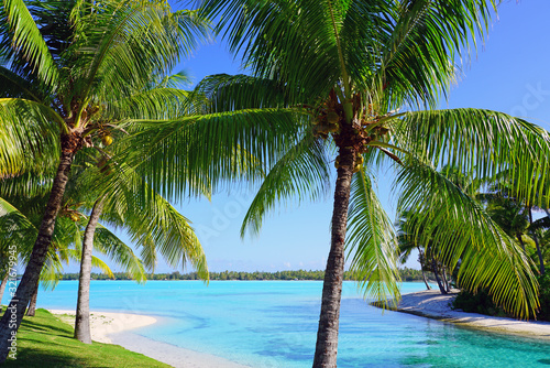 View of a tropical landscape with palm trees, white sand and the turquoise lagoon water in Bora Bora, French Polynesia, South Pacific