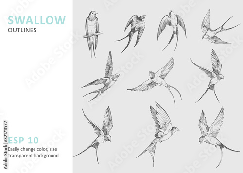 Set of a flying swallows. Hand drawn illustration converted to vector. Outline with transparent background