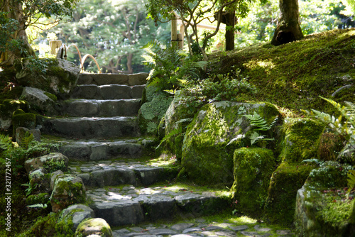 Moss covered stairs in brightly lit garden