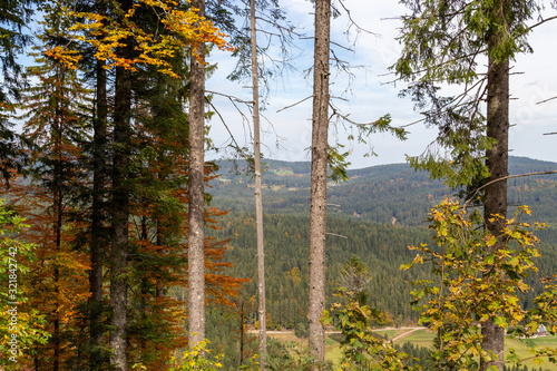 Scenic view at landscape nearby Feldberg, Black Forest in autumn with multi colored trees