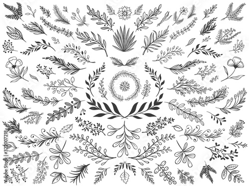 Hand drawn floral decor leaves. Sketch ornamental branches, decorative leafs and flowers vector illustration set. Collection of sprigs, natural design elements, monochrome floristic decorations.