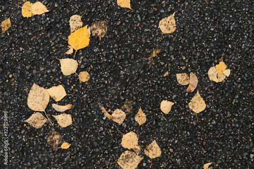 Graphic resources abstract textured background of an asphalt road in a park covered with autumn foliage