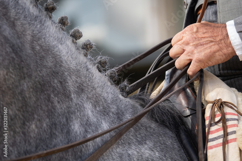 Caballo trenzado de manera tradicional española. La mano del jinete sujeta las riendas de un caballo de Doma Vaquera