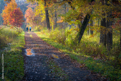 A crisp October morning is the perfect opportunity for a morning stroll through the autumn woods.
