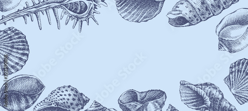 Hand-drawn seashells vector blue background. Decorative illustration with marine mollusks and place for text. Engraving drawing of marine fauna in retro style.