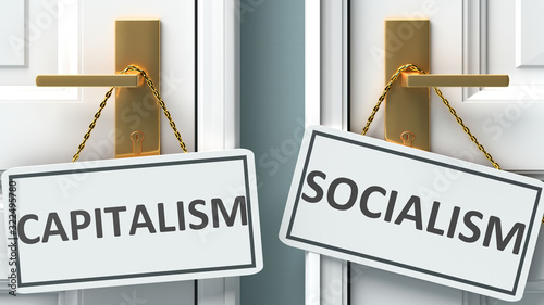 Capitalism or socialism as a choice in life - pictured as words Capitalism, socialism on doors to show that Capitalism and socialism are different options to choose from, 3d illustration