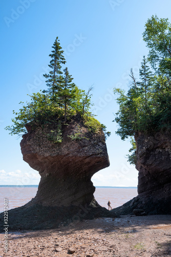 Hopewell Rocks auch Flowerpot Rocks, Bay of Fundy, New Brunswick, Kanada