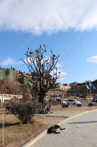 Drzewo Życia, Drzewo Życzeń, Tbilisi w Gruzji