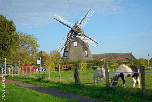 Holländerwindmühle in Mecklenburg