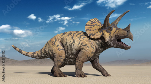 Triceratops, dinosaur reptile roaring, prehistoric Jurassic animal in deserted nature environment, 3D illustration