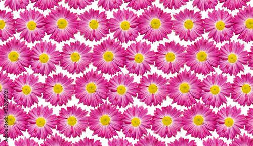 A pattern of pink herbert flowers on a white background. greeting card