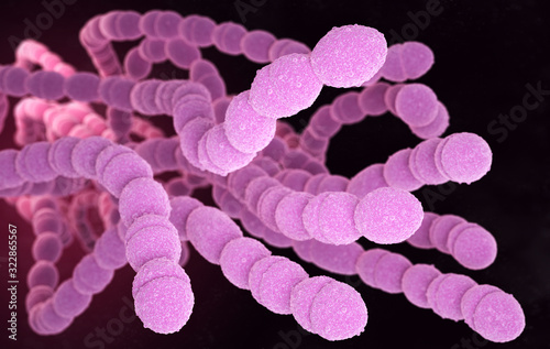 Streptococcus Pneumoniae Bacteria