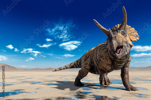 triceratops doing a cool pose on the desert walking after rain