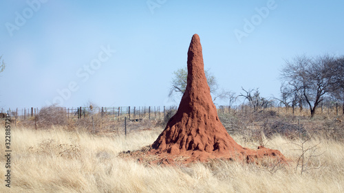 Termitière géante de Namibie