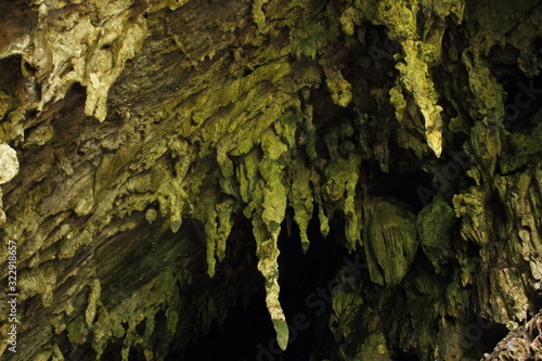 Entrance to Guacharo Cave and National Park located in Caripe, Monagas visited in 1799 by Alexander von Humboldt, who realised that the thousands of oilbirds live inside