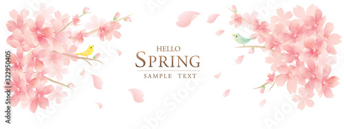 エレガントな春の桜の花のベクターイラスト背景 Elegant Spring Flowers vector illustration Background 