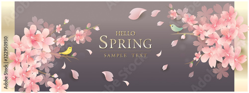 春の花 桜のベクターイラスト Luxury spring flowers background