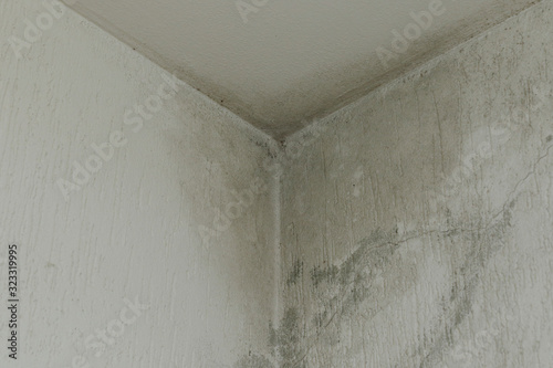 infiltration and mold on the ceiling