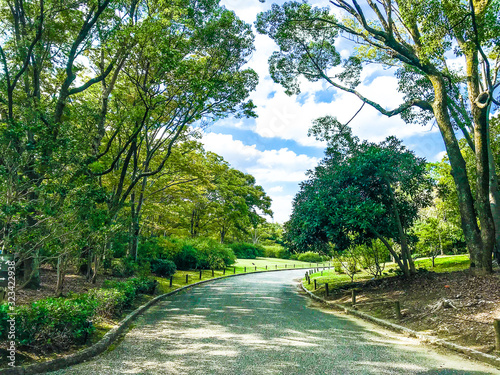 万博記念公園 歩道