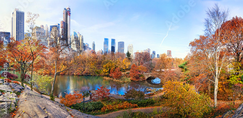 Central park with new york city skyline