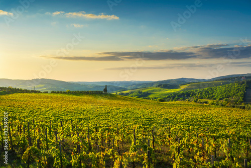 Panzano in Chianti vineyard and panorama at sunset. Tuscany, Italy