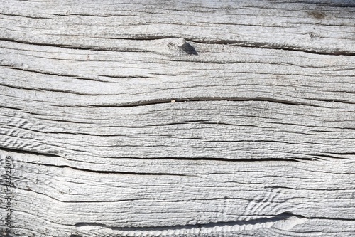 Closeup of a piece of white driftwood