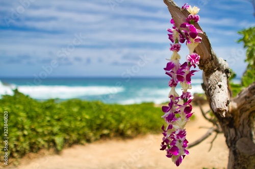 Lei at North Shore Honolulu Hawaii