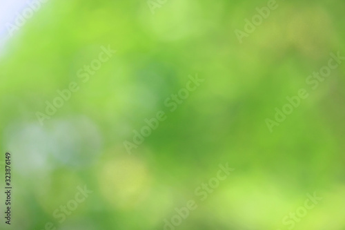 Bokeh green nature, Subtle background in abstract style for graphic design